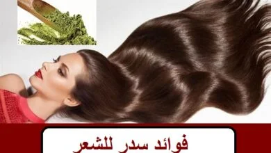 فوائد سدر للشعر