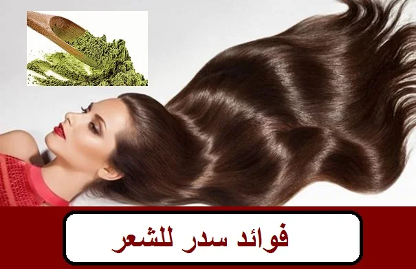 فوائد سدر للشعر
