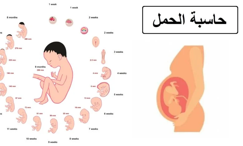 حاسبة الحمل