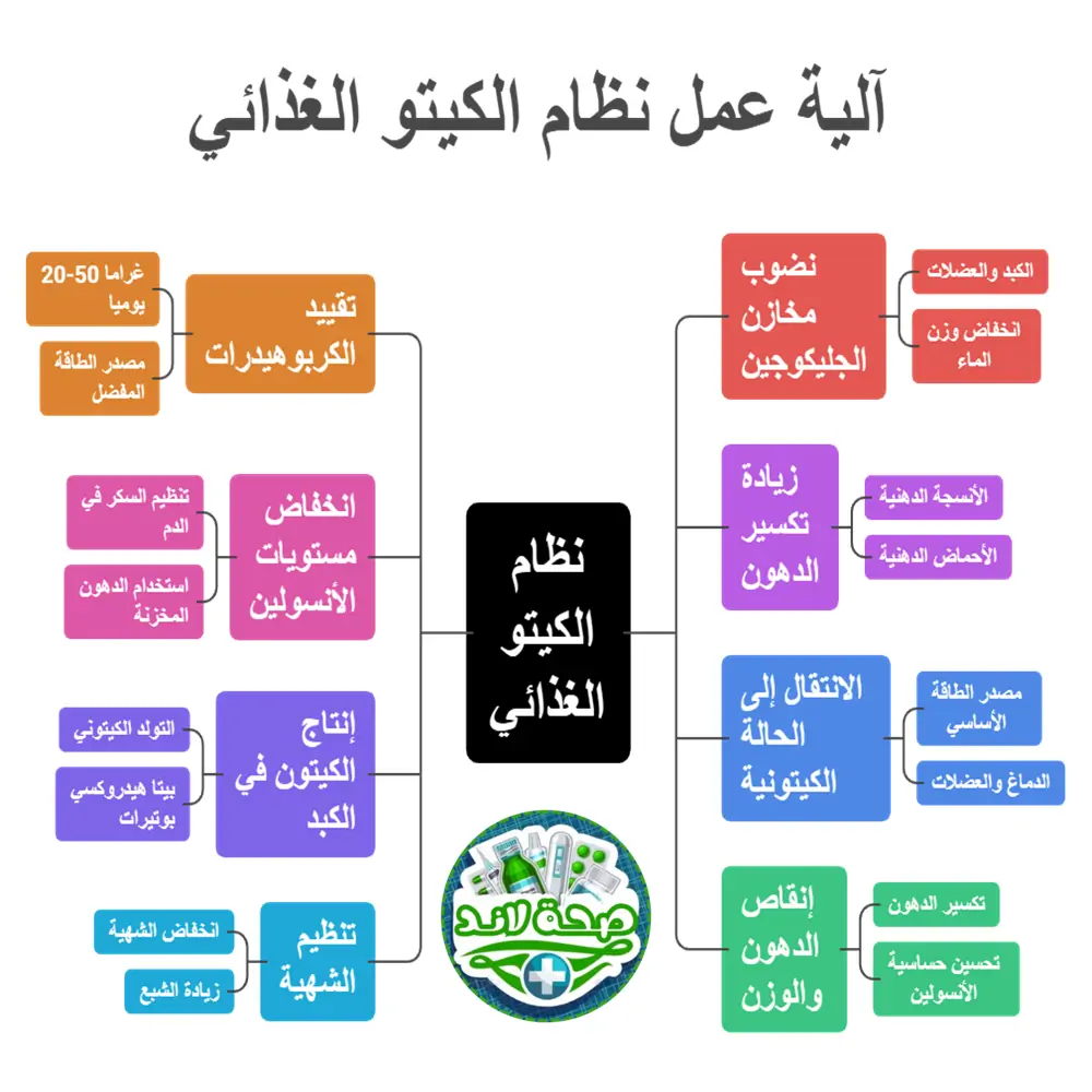كيف يعمل نظام الكيتو الغذائي؟