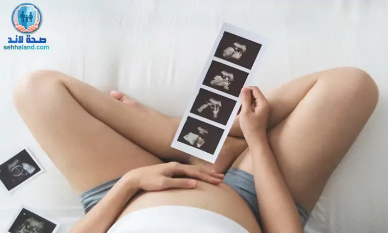 مراحل الحمل: رحلة المعجزة وفهم مراحل تكوين الجنين في 4 فصول