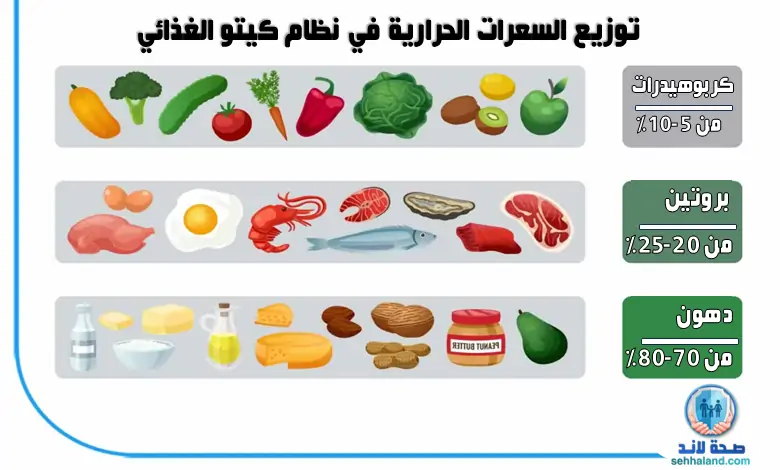 تحليل تفصيلي لتوزيع السعرات الحرارية في نظام كيتو الغذائي