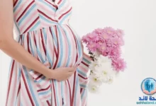 نصائح للحمل: دليل الحمل الشامل لصحة الأم والجنين لعام 2024