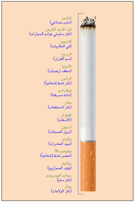 مكونات السيكارة 