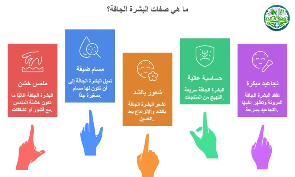 ما هي صفات البشرة الجافة؟