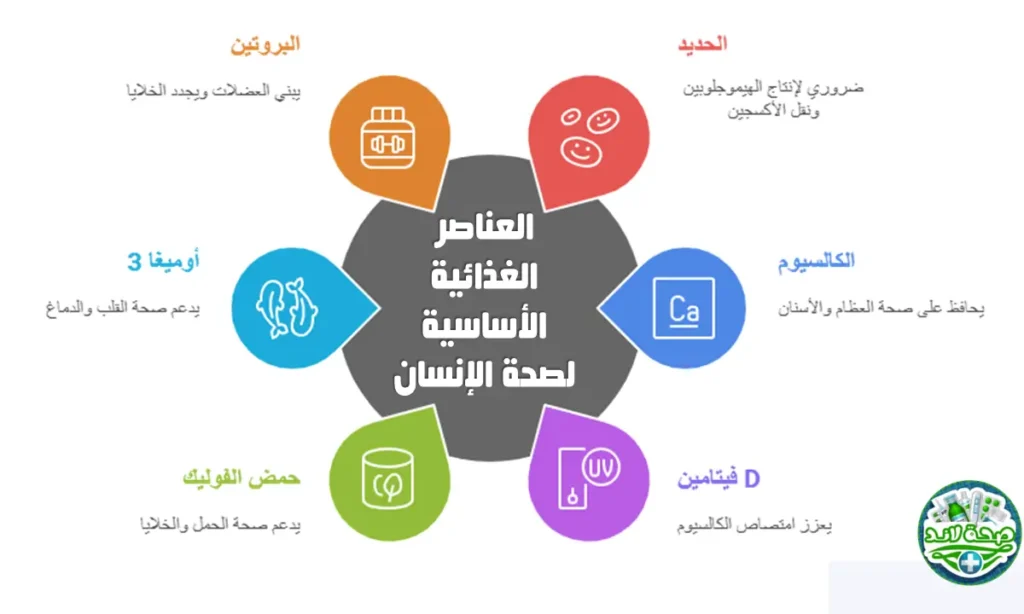 العناصر الغذائية الأساسية لصحة الإنسان