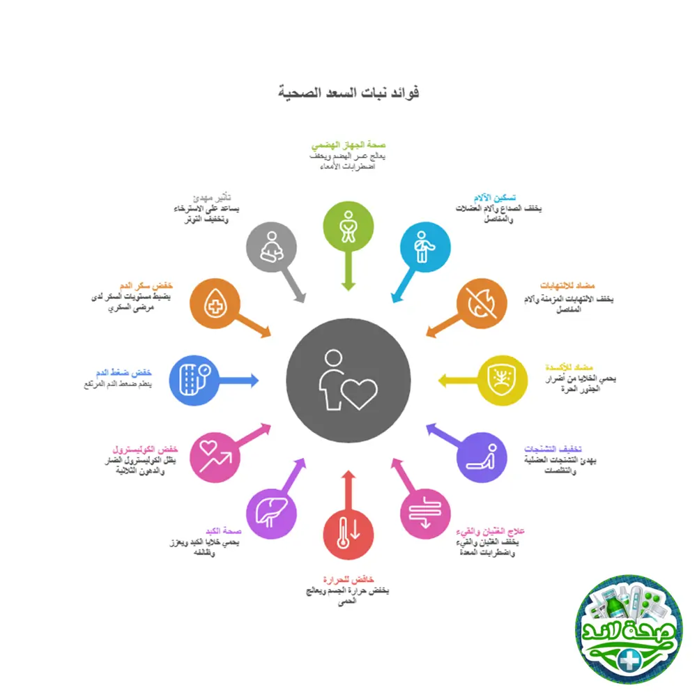 أهم فوائد نبات السعد الصحية