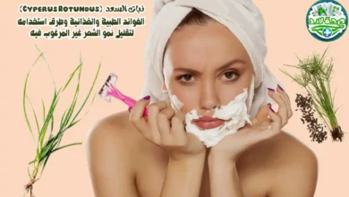 نبات السعد (Cyperus Rotundus): الفوائد الطبية والغذائية وطرق استخدامه لتقليل نمو الشعر غير المرغوب فيه