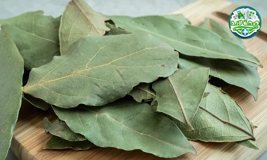 التوابل والبهارات العربية : ورق الغار