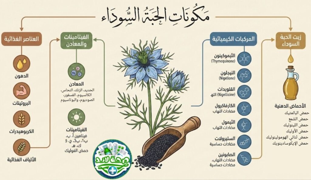 مكونات الحبة السوداء