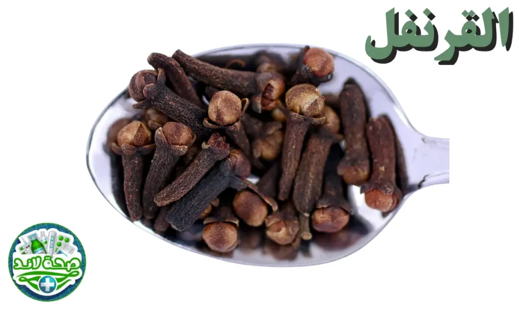 القرنفل من أعرق التوابل والبهارات العربية العطرية