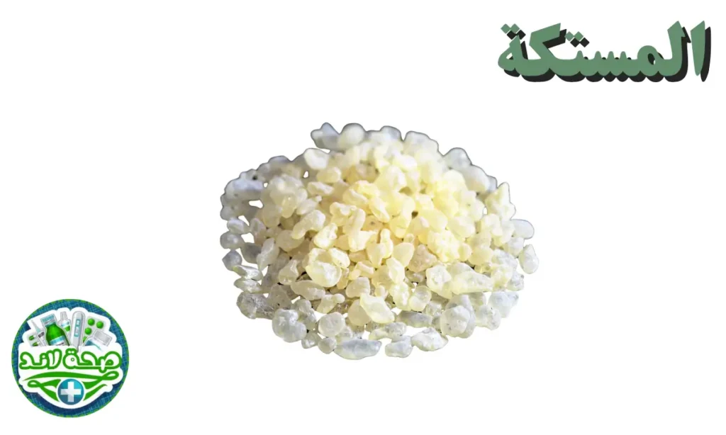 التوابل والبهارات العربية : المصطكي أو المستكة