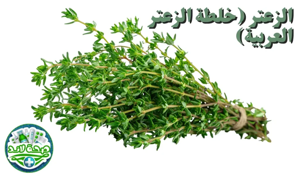 التوابل والبهارات العربية : الزعتر (خلطة الزعتر العربية)