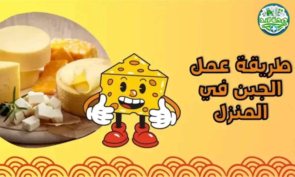 طريقة عمل الجبن في المنزل - تعرف على طرق صنع أشهر الأنواع طريقة عمل الجبن في المنزل - تعرف على طرق صنع أشهر الأنواع