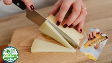 طريقة عمل الجبن في المنزل - تعرفي على طرق صنع أشهر الأنواع بطرق سهلة