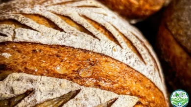 طريقة عمل خبز الساوردو (Sourdough Bread) السحرية من مطبخ صحة لاند