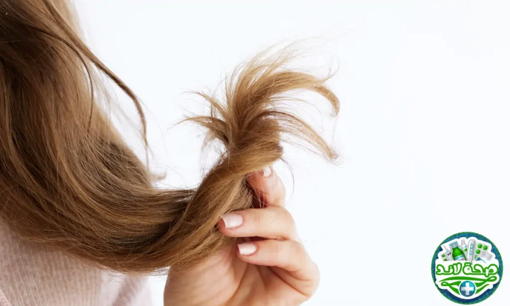 الشعر الجاف