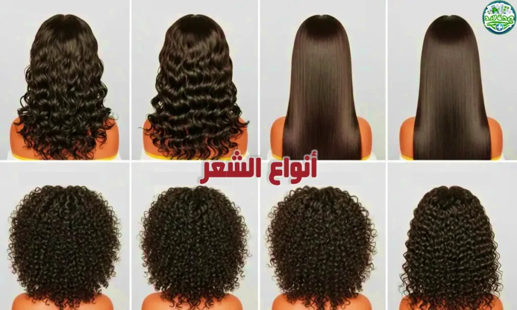 ما هي أنواع الشعر؟